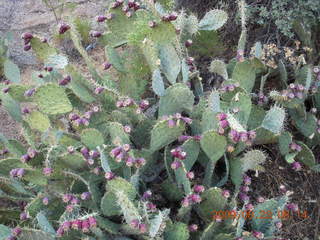 Bagdad Airport (E51) run