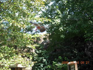 aerial - Philadelphia shipyard at cloudy dawn