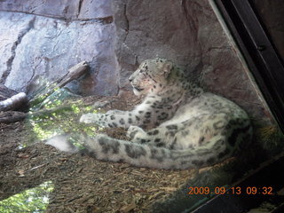 CHS XC 2009 - Cheltenham H.S. musicians