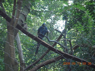Philadelphia Zoo entrance