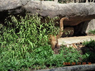 Philadelphia Zoo (blurry spider)