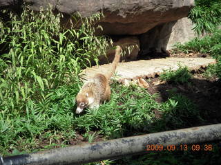 Philip E. Rosenberg slides - Hawaii