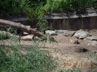 Philadelphia Zoo - bird