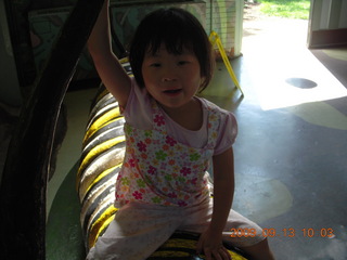 Philadelphia Zoo - gazelles