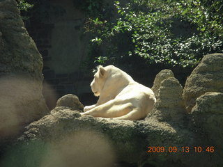 Philadelphia Zoo - monkeys