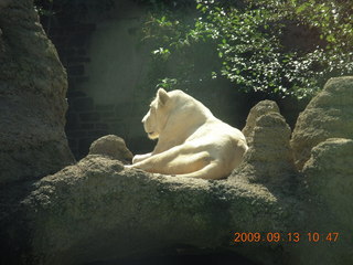 Philip E. Rosenberg slides seder + Michael