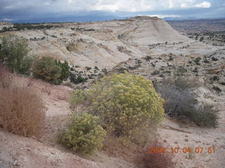 drive to Escalante