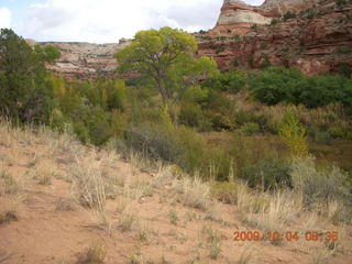 Escalante - Calf Creek trail