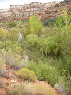 Escalante - Calf Creek trail