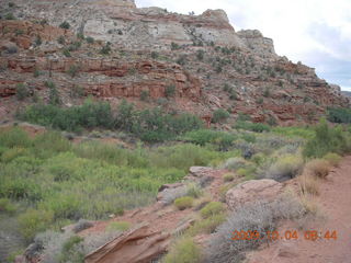 Escalante - Calf Creek trail