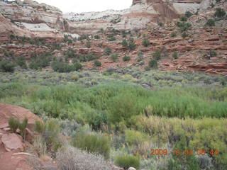 Escalante - Calf Creek trail