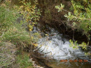 Escalante - Calf Creek trail