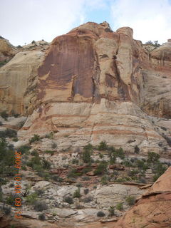 Escalante - Calf Creek trail