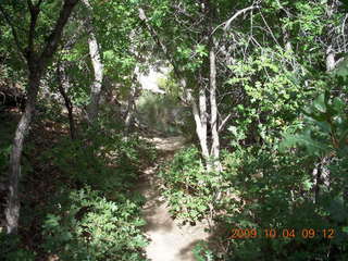 Escalante - Calf Creek trail