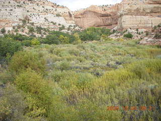 Escalante - Calf Creek trail