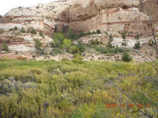 Escalante - Calf Creek trail