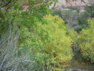 Escalante - Calf Creek trail