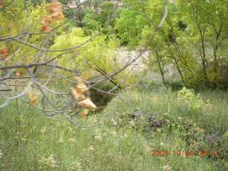 Escalante - Calf Creek trail