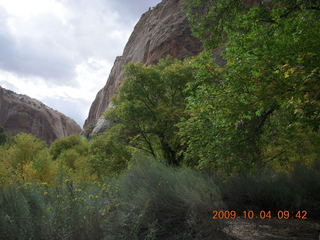 Escalante - Calf Creek trail