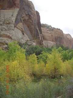 Escalante - Calf Creek trail