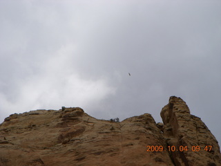 Escalante - Calf Creek trail