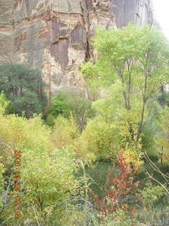 Escalante - Calf Creek trail