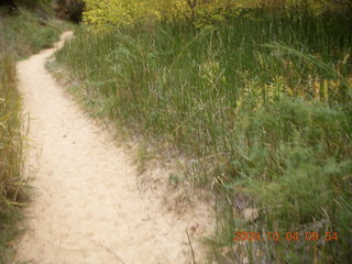 Escalante - Calf Creek trail