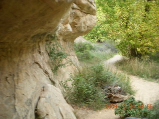 Escalante - Calf Creek trail