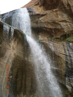 Escalante - Calf Creek trail - fish