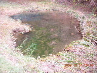 Escalante - Calf Creek trail - pond