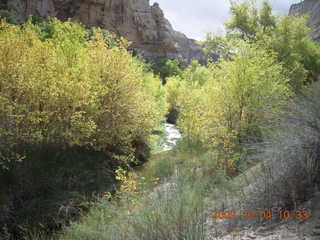 Escalante - Calf Creek trail