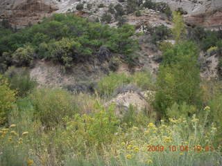 Escalante - Calf Creek trail - waterfall