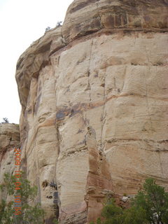 Escalante - Calf Creek trail