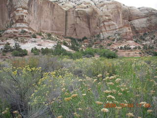 Escalante - Calf Creek trail - waterfall - Neil