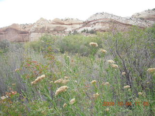Escalante - Calf Creek trail