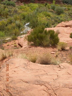 Escalante - Calf Creek trail