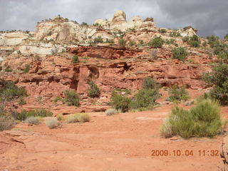 Escalante - Calf Creek trail