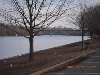 house lion in Philadelphia