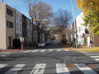 Philadelphia - Delaware River run - bird