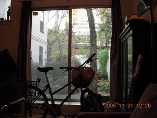 Charlie's yard in Philadelphia