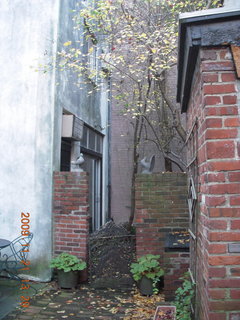 Charlie's yard in Philadelphia