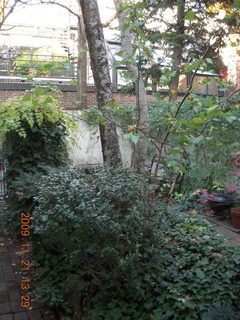 Charlie's yard in Philadelphia