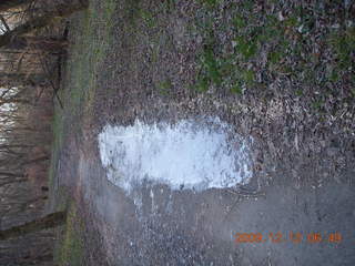 Pennypack Park run - ice