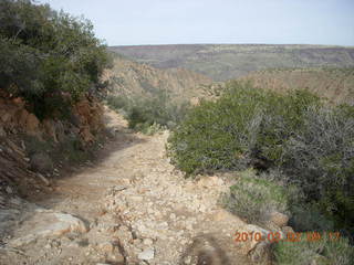 Bagdad run, green after the rain