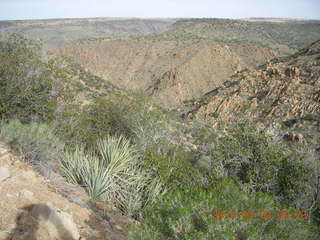 Bagdad run, green after the rain