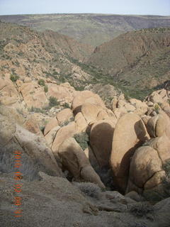 Bagdad run, green after the rain