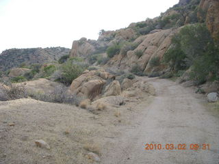 Bagdad run, green after the rain