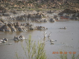 Bagdad run, green after the rain