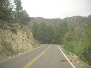 grocery store totem pole - drive up Mt. Graham - e