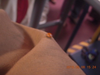 telescope at Mt. Graham